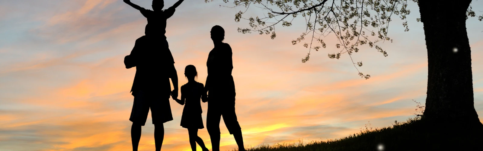 Family-Friendly Activities in Maywood, United States