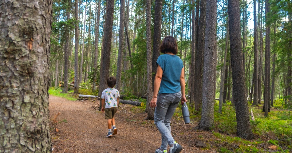 Outdoor Adventures in Maywood, United States: Parks, Trails & More